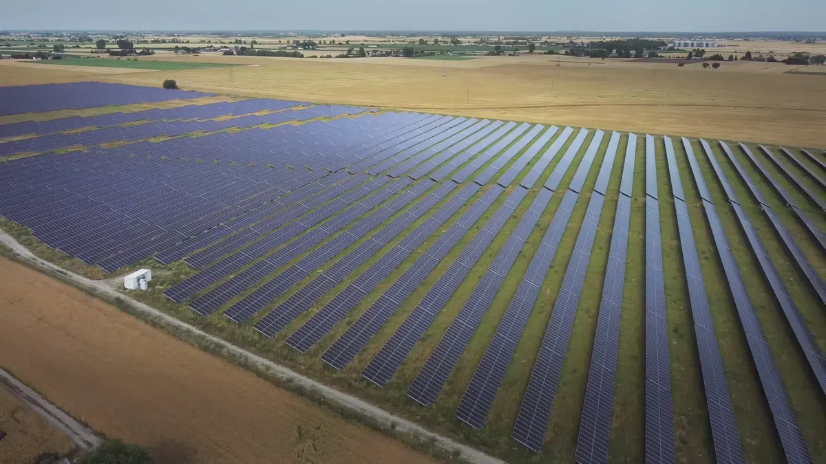 PNG Solar vs JinkoSolar vs LONGi: Comparativa de proveedores de paneles solares